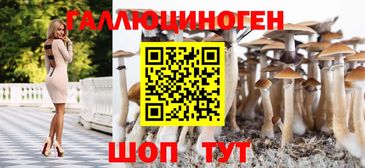 Галлюциногенные грибы Psilocybine cubensis  Псилоцибиновые грибы ЛСД  купить  сайты  Ивантеевка  Вход с VPN 